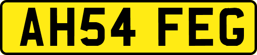 AH54FEG