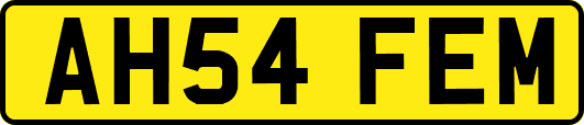 AH54FEM