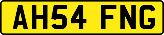 AH54FNG