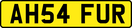 AH54FUR