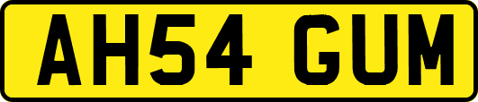 AH54GUM