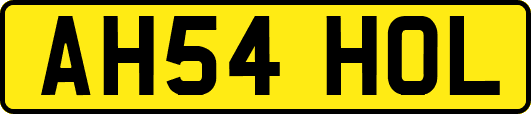 AH54HOL