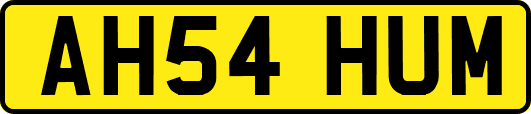 AH54HUM