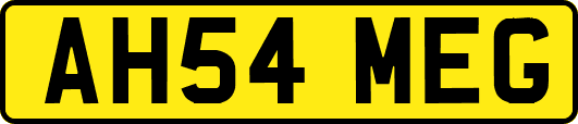 AH54MEG