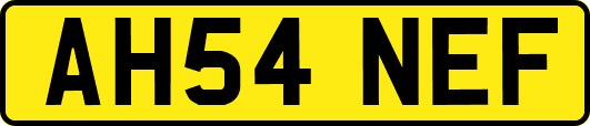 AH54NEF