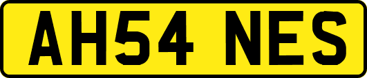 AH54NES