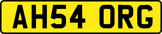 AH54ORG