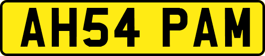 AH54PAM