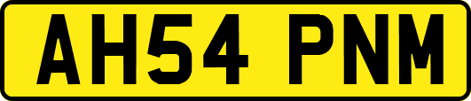 AH54PNM