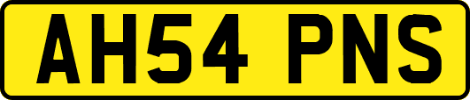 AH54PNS