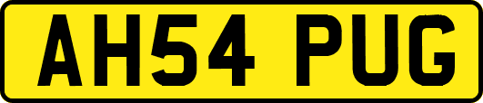 AH54PUG