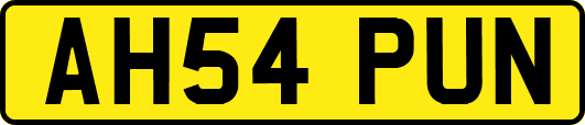 AH54PUN