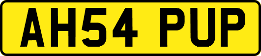 AH54PUP