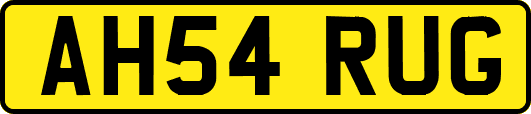 AH54RUG