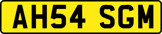 AH54SGM