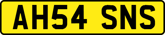 AH54SNS