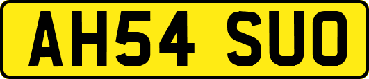 AH54SUO