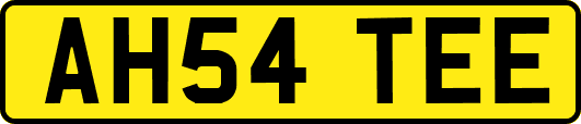 AH54TEE