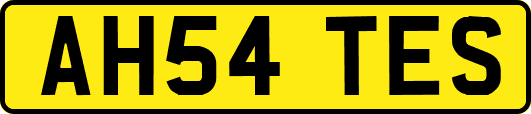 AH54TES