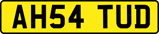AH54TUD