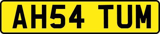 AH54TUM