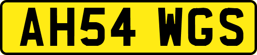 AH54WGS