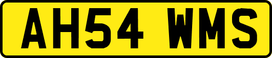 AH54WMS
