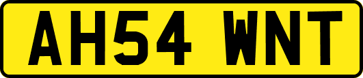 AH54WNT