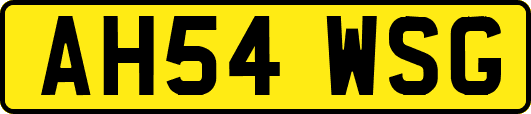 AH54WSG