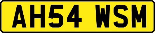 AH54WSM