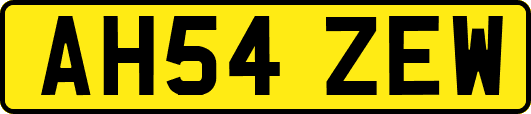 AH54ZEW