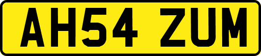 AH54ZUM