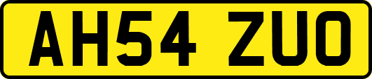 AH54ZUO