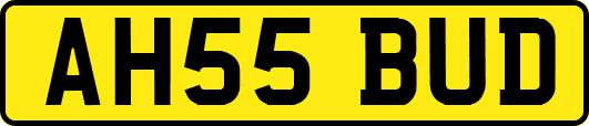 AH55BUD