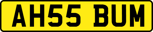AH55BUM