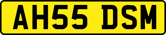 AH55DSM