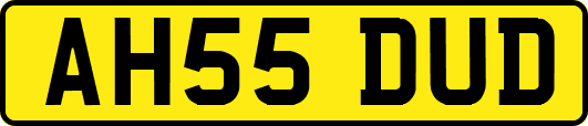 AH55DUD