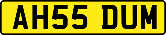 AH55DUM