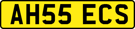 AH55ECS