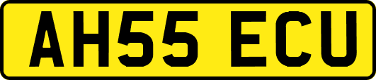 AH55ECU
