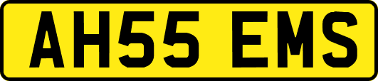 AH55EMS