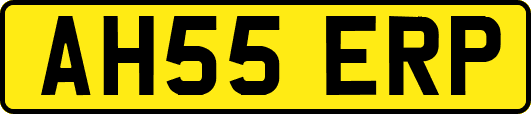 AH55ERP