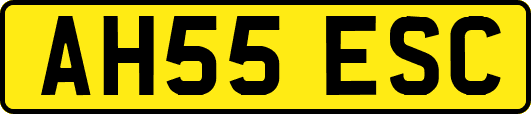 AH55ESC