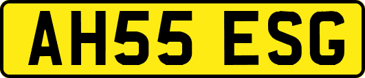 AH55ESG
