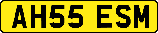 AH55ESM