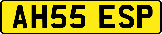AH55ESP