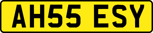 AH55ESY