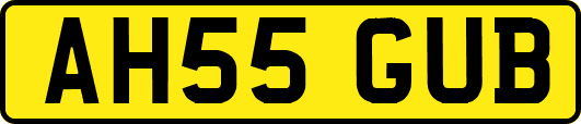 AH55GUB