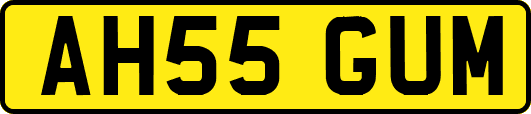 AH55GUM