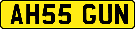 AH55GUN